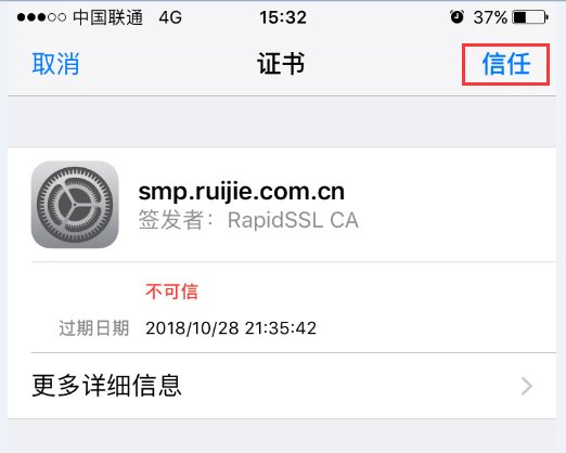 工作动态